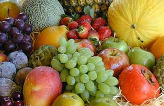 Mais Vida Produtos Naturais - Foto 1