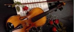 bandas-para-casamentos-e-festas-novo-gama-1484663660