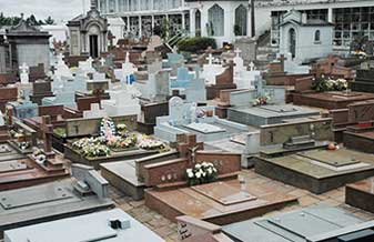 Cemitério Parque Memorial - Foto 1