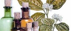 farmacias-de-homeopatia-novo-gama-1484251693