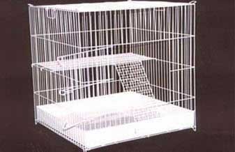 Avecool Comércio De Aves - Foto 1
