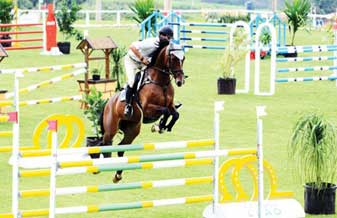 Haras do Morro - Foto 1