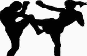 Academia Extreme Fight - Foto 1