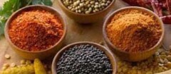produtos-naturais-e-Fitoterapicos-novo-gama-1484231727