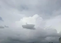 Novo Gama previsão do tempo