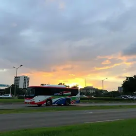 Viação Novo Horizonte