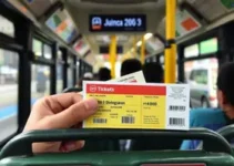 passagens de ônibus Entorno Sul