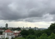 clima Novo Gama