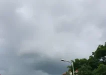 Previsão do tempo em Novo Gama