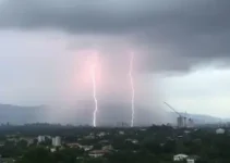 Novo Gama