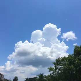 Novo Gama