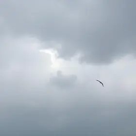 previsão do tempo em Novo Gama