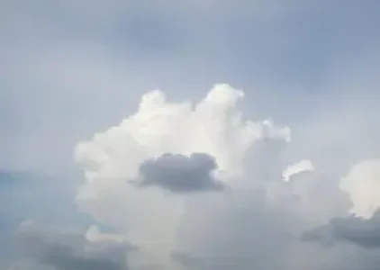 Últimas noticias de Novo Gama