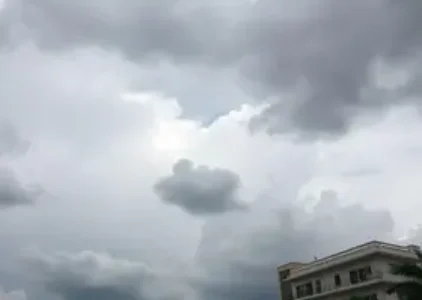 Últimas noticias de Novo Gama