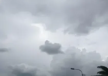 Últimas noticias de Novo Gama