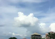 clima em Novo Gama