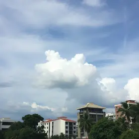 clima em Novo Gama