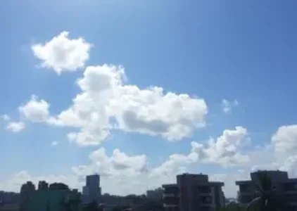 Últimas noticias de Novo Gama