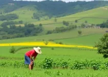 Agro é Social