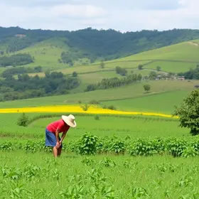 Agro é Social