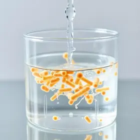 água cristal