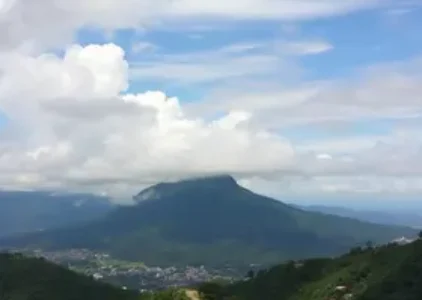 Últimas noticias de Novo Gama