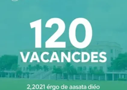 Últimas noticias de Novo Gama