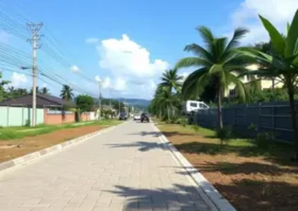 Últimas noticias de Novo Gama