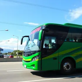 autorização de transporte rodoviário