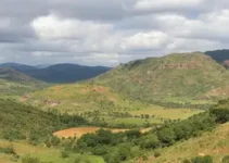 Gracinha Caiado