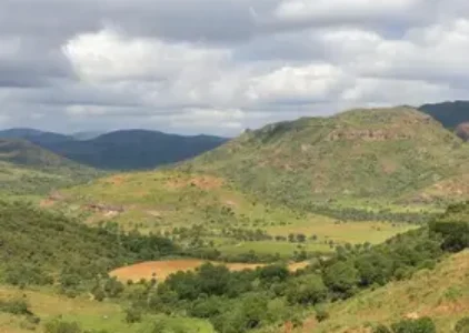 Últimas noticias de Novo Gama