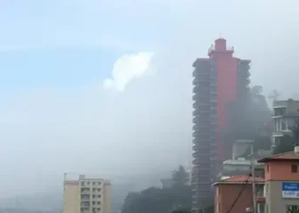 Últimas noticias de Novo Gama