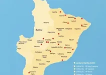 locais de votação Goiás