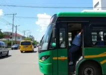 transporte coletivo gratuito